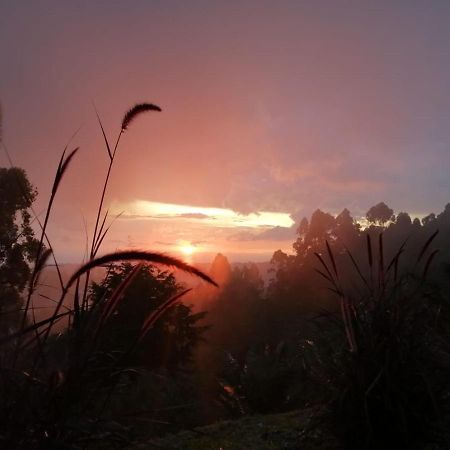 Hotel Natura Cocora Salento Buitenkant foto