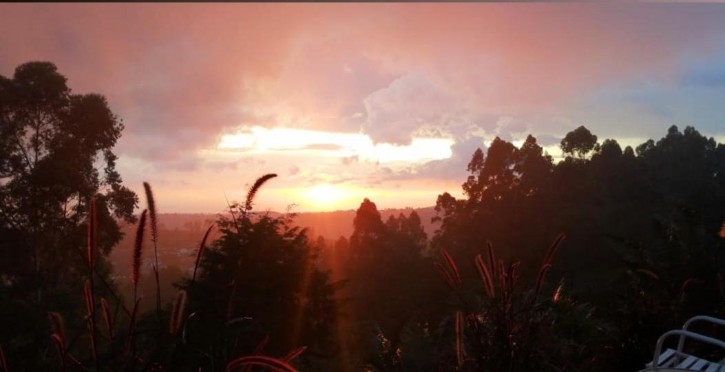 Hotel Natura Cocora Salento Buitenkant foto