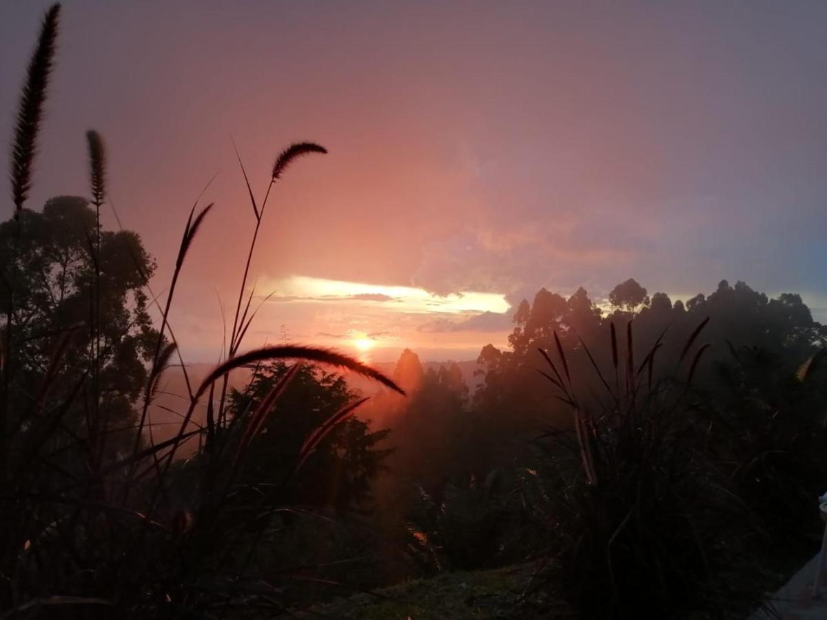 Hotel Natura Cocora Salento Buitenkant foto